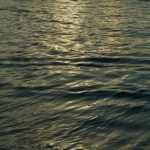 Meet your Posher, Felix